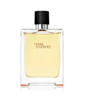 Parfum Terre D'Hermes Vaporisateur 50ml - Élégance en Flacon
