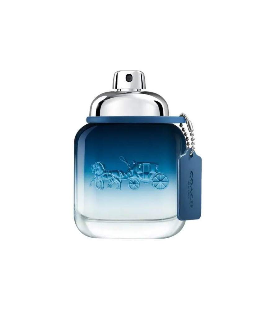Parfum Coach Blue For Men 100ml - COACH 1941