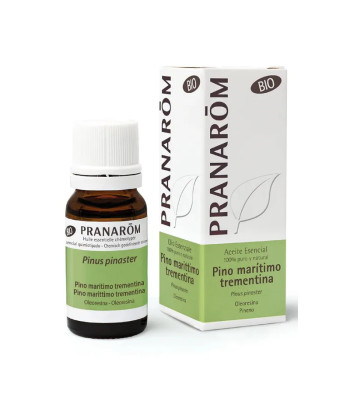Huile Essentielle de Pin Maritime Térébenthine Bio 10ml - Accueil
