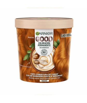 Coloration sans ammoniaque Garnier 7.43 Cobrizo Cúrcuma