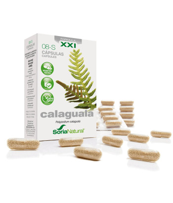 Soria 8-S Calaguala 310 Mg 30 Capsules - Libération Prolongée