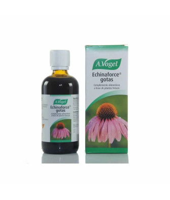 Echinaforce 100ml de Vogel - Renforcez votre système immunitaire