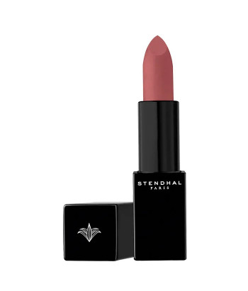Rouge à Lèvres Mat 105 Rose Terracotta 3.8g - Effet Longue Tenue