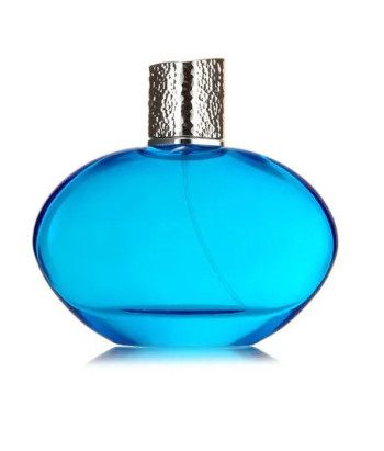 Parfum Vaporisateur 100ml Elizabeth Arden