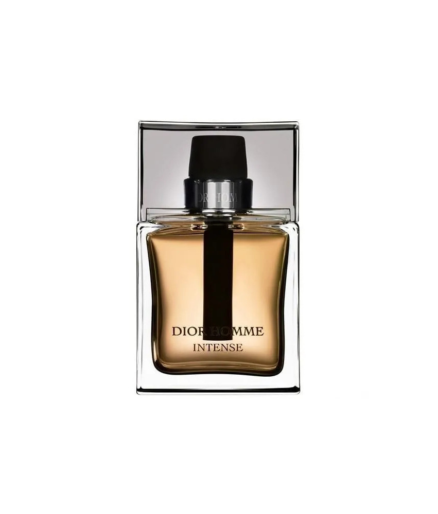 Dior Homme Intense 100ml: Parfum en Vaporisateur