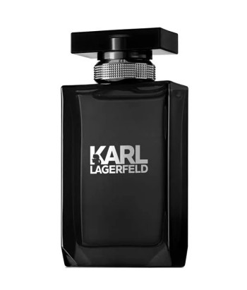 Parfum Karl Lagerfeld Pour Homme 100ml - Irrésistible Masculin