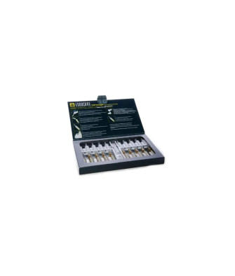 Ampoules Endocare Tensage 10x2ml - Rajeunissement Intense