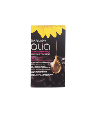 Coloration Permanente Garnier Olia 1,0 Ébène Noir