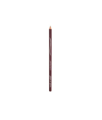 Wet N Wild Crayon à Lèvres Color Icon E712 Willow