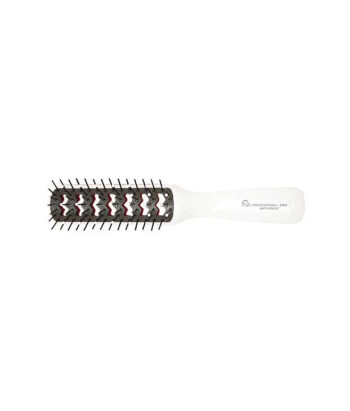 Brosse squelette bicolore Eurostil Anti-Static - 1 unité
