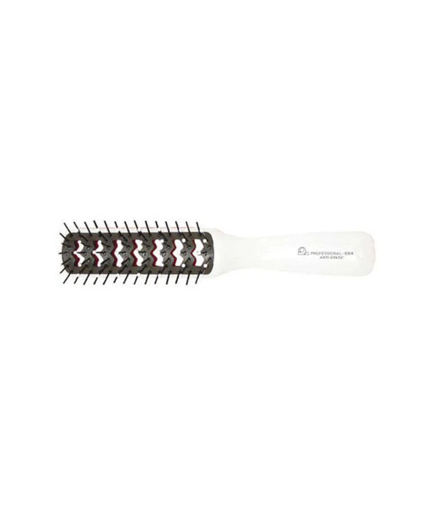Brosse squelette bicolore Eurostil Anti-Static - 1 unité
