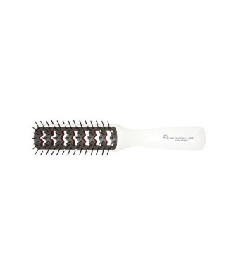 Brosse squelette bicolore Eurostil Anti-Static - 1 unité