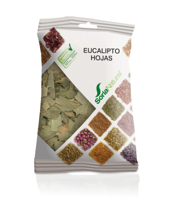 Feuilles d'Eucalyptus Soria 70g - Purifiez votre espace