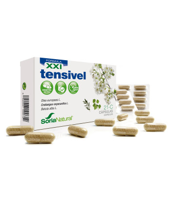 Soria 21-C Tensivel 600 Mg: Libération Prolongée 