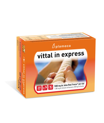 Découvrez Plameca Vittal In Express: L'énergie naturelle