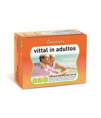 Boostez votre énergie avec Plameca Vittal In Adultos Renovado 20 Viales