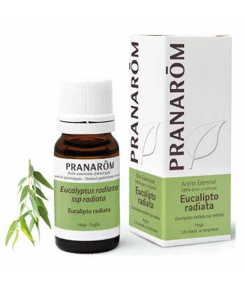 Huile essentielle Pranarom Eucalyptus Radiata 10ml