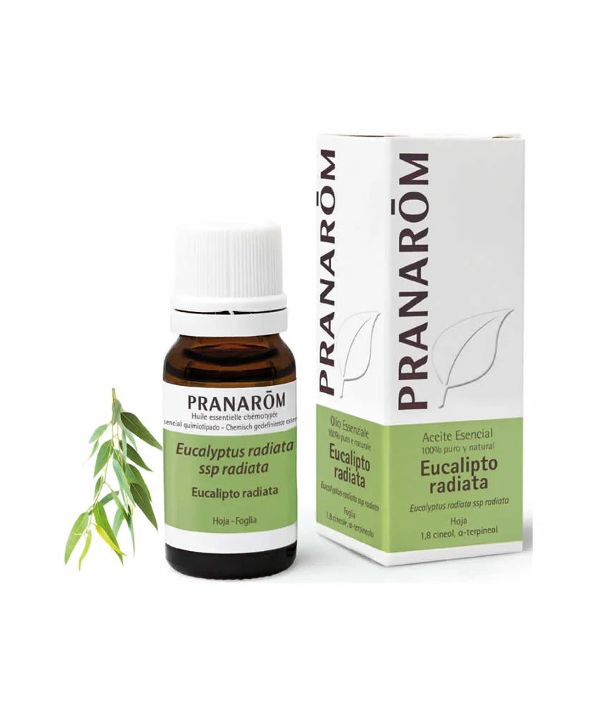 Huile essentielle Pranarom Eucalyptus Radiata 10ml