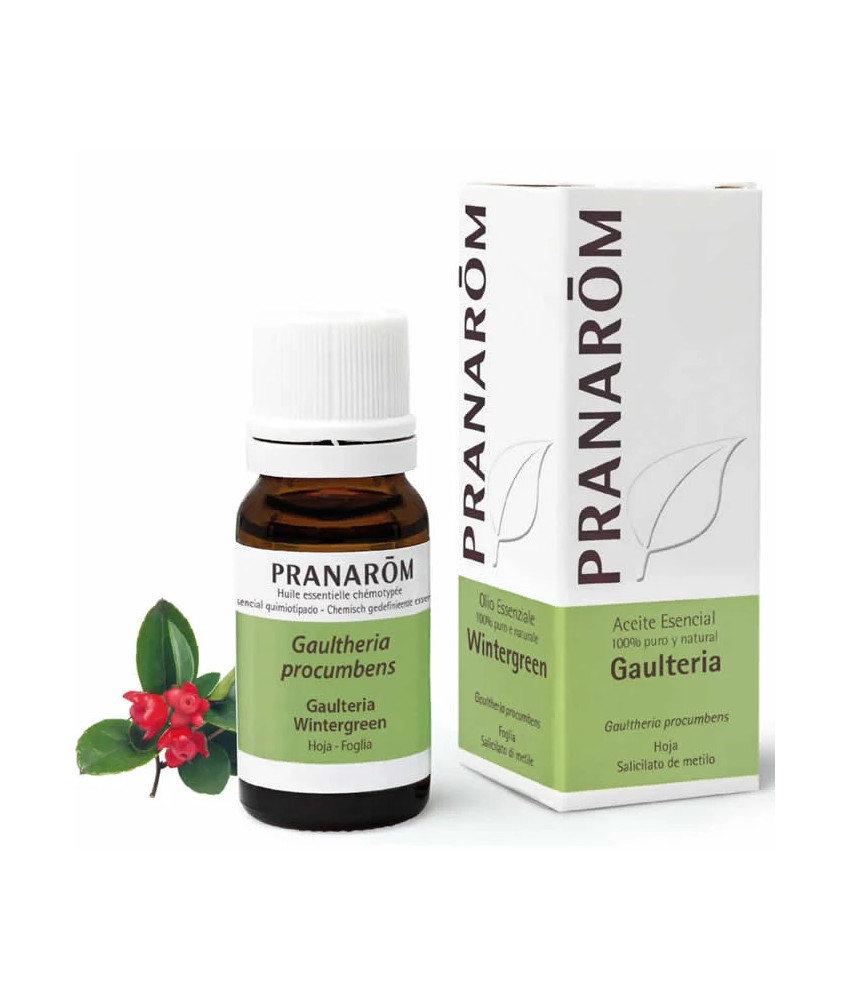 Huile Essentielle de Feuille de Gaulthérie 10ml - PRANARÔM