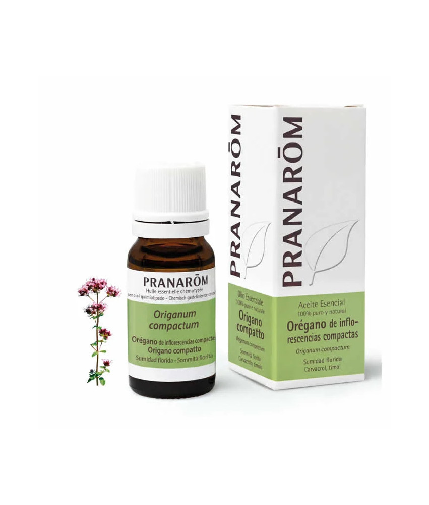 Pranarom Huile Essentielle Origan Compact 10ml