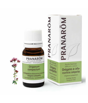 Pranarom Huile Essentielle Origan Compact 10ml