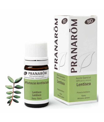 Huile Essentielle de Lentisque Bio Pranarom 5ml