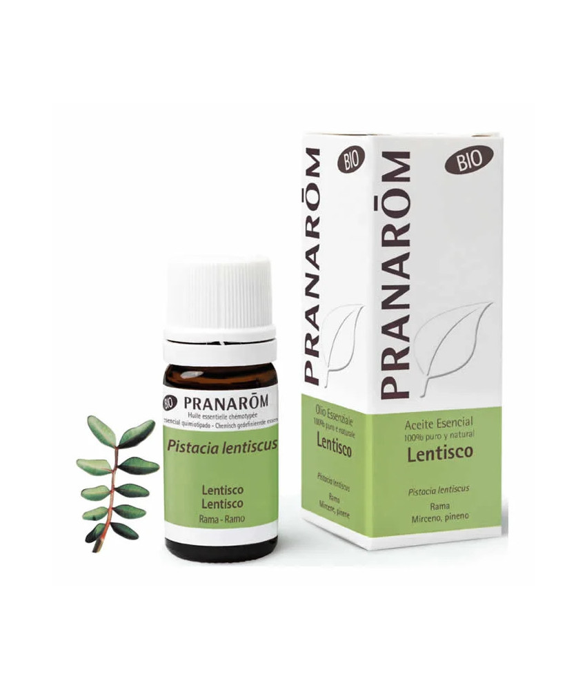 Huile Essentielle de Lentisque Bio Pranarom 5ml