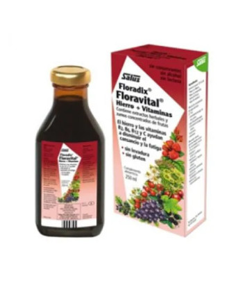 Vitalité avec Floradix Floravital 250ml