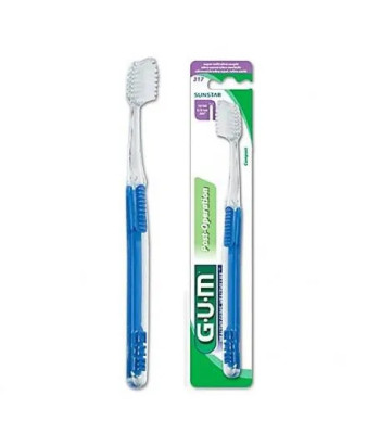 Gum Pinceau À Gencive 317 Post Chirurgical: Soins Doux Après une Intervention