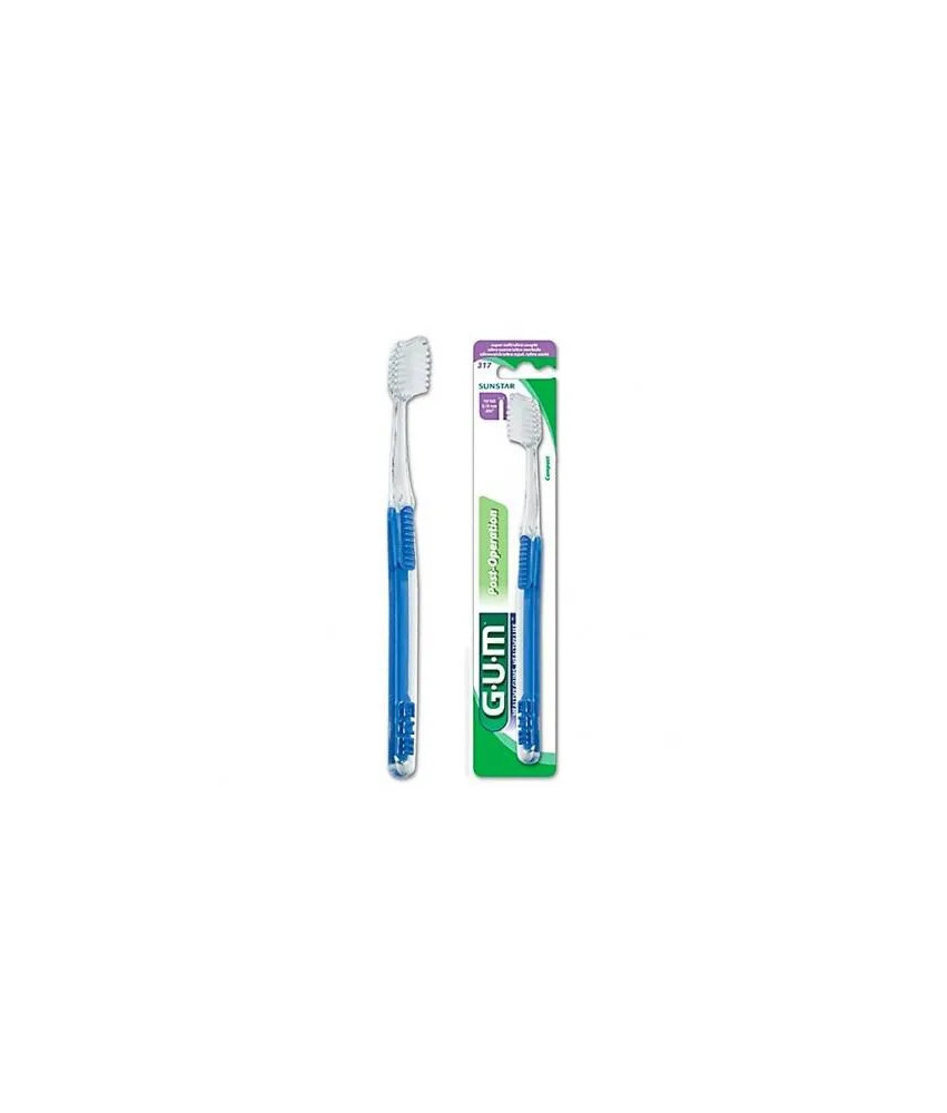Gum Pinceau À Gencive 317 Post Chirurgical: Soins Doux Après une Intervention