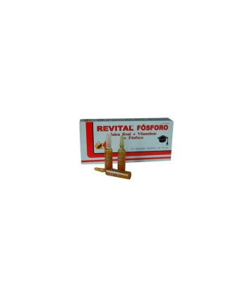 Booster d'énergie Pharma Otc Revital Fósforo 20 Viales