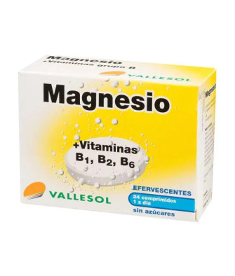 Vallesol Effervescent Magnésium B 24comp - Booster d'énergie