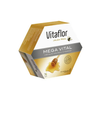 Renforcez votre santé avec Vitaflor Mega Vitale 20 Fioles