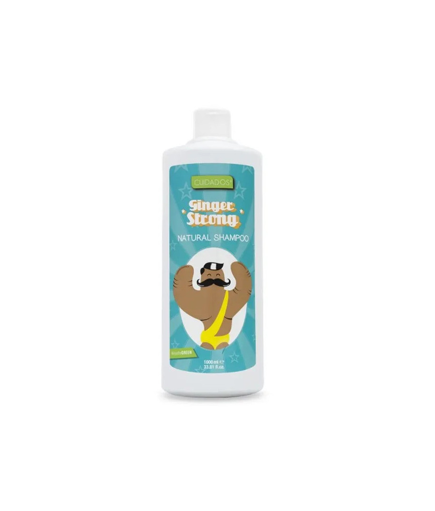 Shampooing Valquer Ginger Strong 1000ml