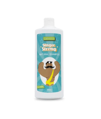Shampooing Valquer Ginger Strong 1000ml