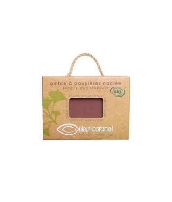 Maquillage des yeux éclatant avec Couleur Caramel 099 Pepite Cuivree
