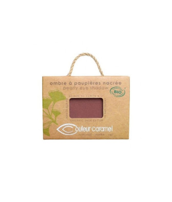 Maquillage des yeux éclatant avec Couleur Caramel 099 Pepite Cuivree