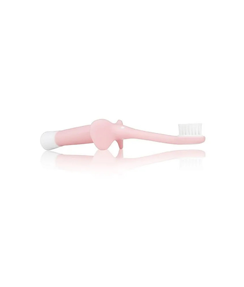 Brosse à dents pour bébé Dr.Brown's Rose