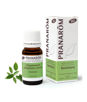 Huile Essentielle Ravintsara Pranarom 10ml