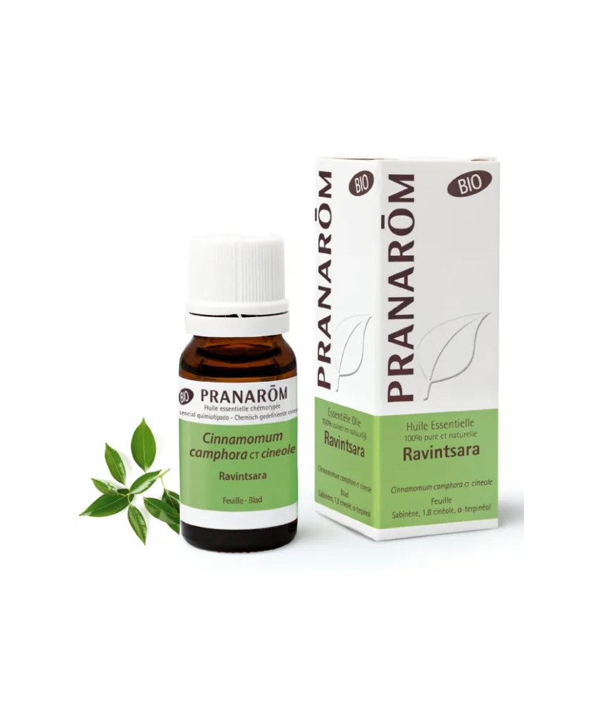 Huile Essentielle Ravintsara Pranarom 10ml