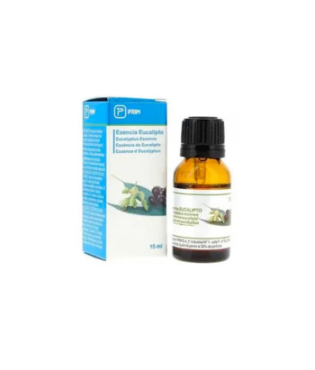 Rechargez votre humidificateur avec l'essence d'eucalyptus !