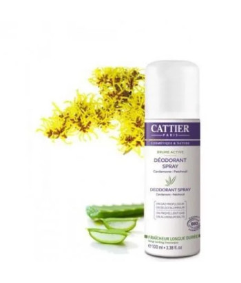 Désodorisant Spray Cattier Paris Active 100ml