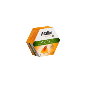 Renforcez votre cerveau avec Vitaflor Jalea Real Intelecto