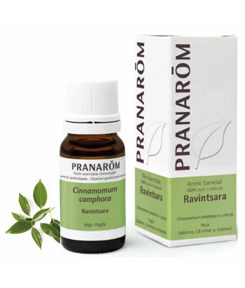 Huile essentielle Ravintsara Pranarom 10ml