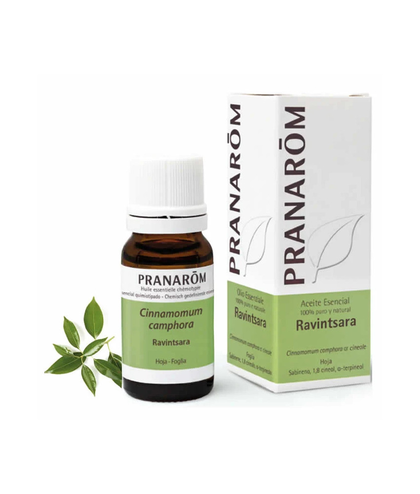 Huile essentielle Ravintsara Pranarom 10ml