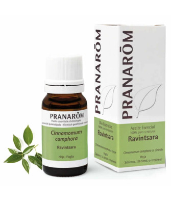 Huile essentielle Ravintsara Pranarom 10ml