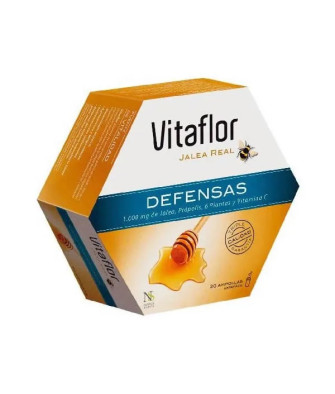Vitaflor Gelée Royale 20 Ampoules 200ml: Compléments Alimentaires