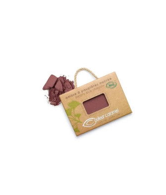 Couleur Caramel Recharge Fatale pour Ombre à Paupières N100
