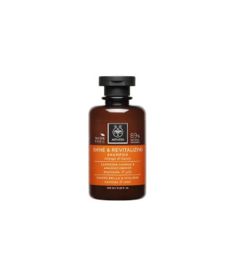 Shampooing Apivita Éclat et Revitalisant à l'Orange et au Miel 250ml