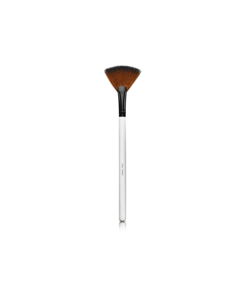 LILY LOLO: Brosse Éventail Biuki - Application Facile!